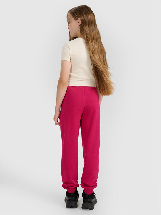 4F 4F Spodnie dresowe BASIC+ Różowy Regular Fit