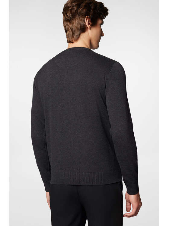 Próchnik Próchnik Sweter PM8 SW073224000014 Szary Regular Fit