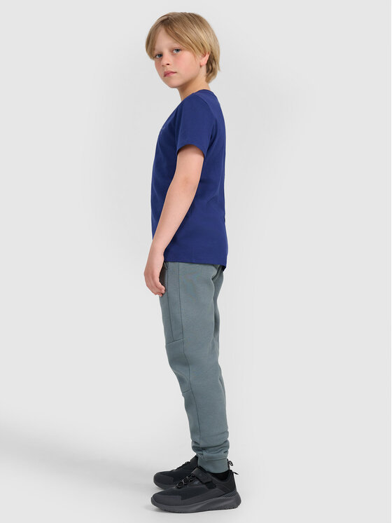 4F 4F T-Shirt BASIC+ Granatowy Regular Fit