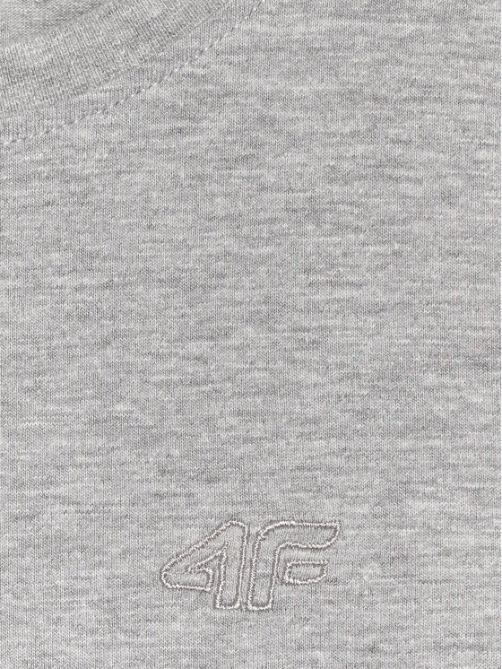 4F 4F T-Shirt BASIC+ Szary Regular Fit
