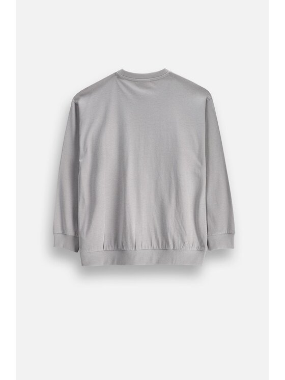 Coccodrillo Coccodrillo Longsleeve ZC6143103WBJ-019 Szary Regular Fit