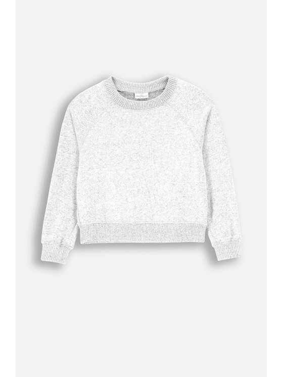 Coccodrillo Coccodrillo Sweter ZC4172104EPG-019 Szary Regular Fit