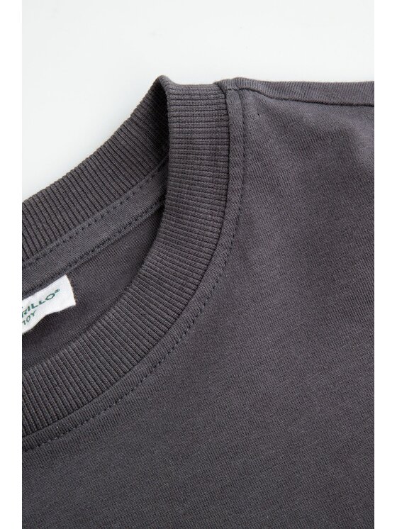 Coccodrillo Coccodrillo S dlouhým rukávem ZC6143102WBJ-020 Šedá Regular Fit