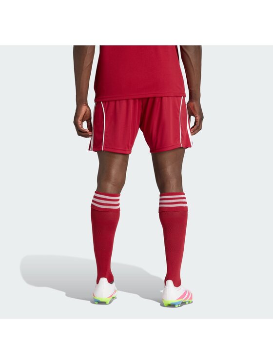 adidas adidas Szorty sportowe 157743 Czerwony Regular Fit