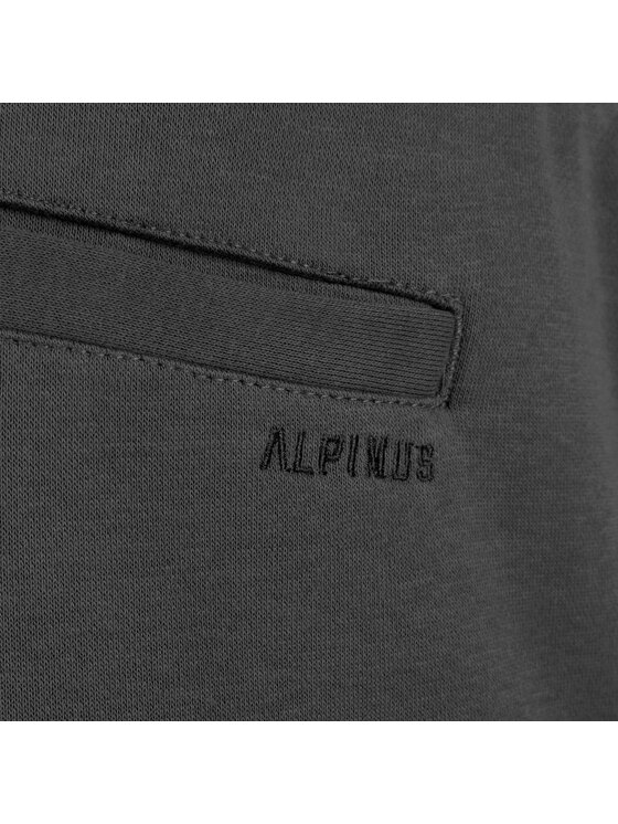 Alpinus Alpinus Szorty sportowe Bajadilla Szary Active Fit