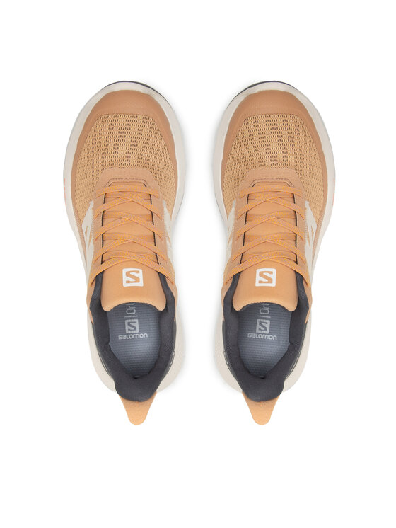 Salomon Salomon Trekking čevlji Outpulse W 416887 20 V0 Rjava
