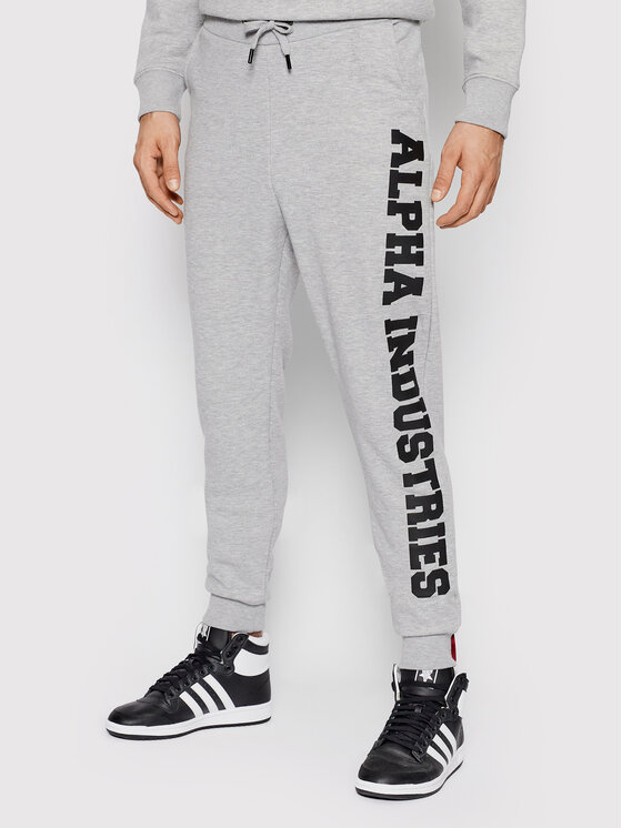 Alpha Industries Alpha Industries Spodnie dresowe Big Letters 126343 Szary Regular Fit