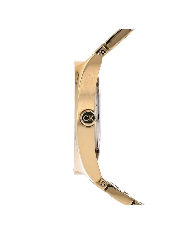 Calvin Klein Calvin Klein Sat 25200276 Zlatna