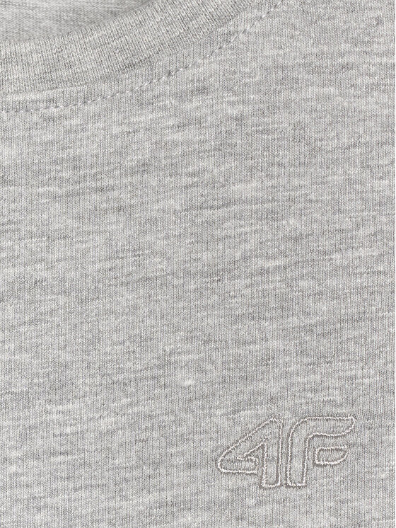 4F 4F T-Shirt BASIC+ Szary Regular Fit