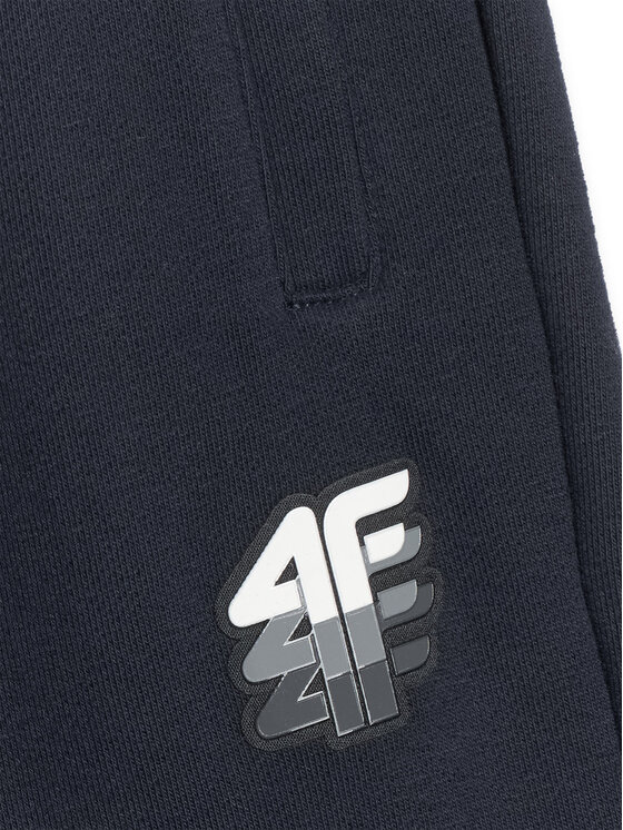 4F 4F Szorty sportowe PLAYER Granatowy Regular Fit