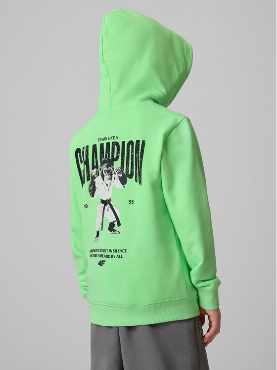 4F 4F Bluza STREET SPORT Zielony Regular Fit