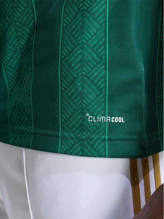 adidas adidas Koszulka techniczna South Africa 26 Away Jersey Zielony Regular Fit