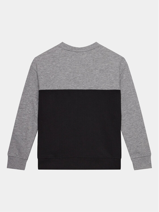 4F 4F Sweatshirt 4FJAW23TSWSM630 Grau Regular Fit
