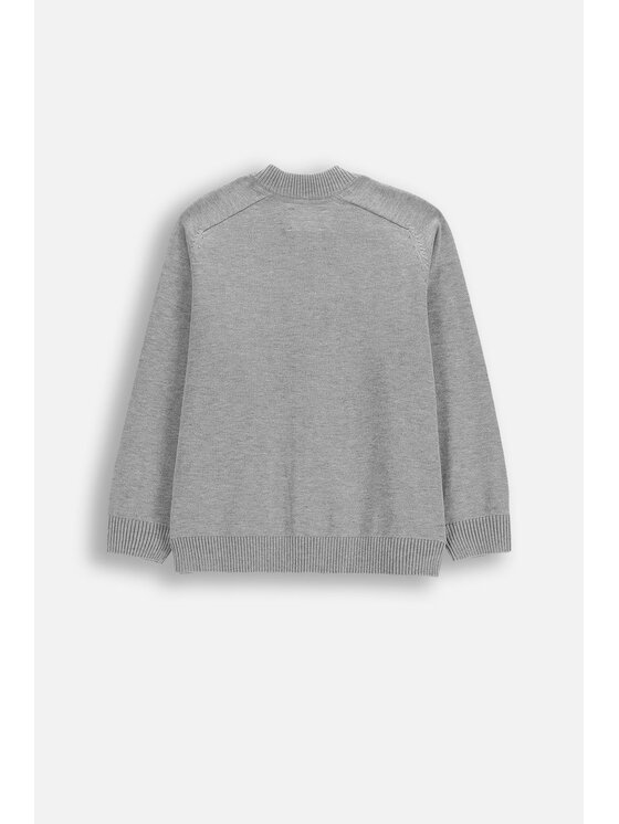 Coccodrillo Coccodrillo Sweter WC6172201BSB-019 Szary Regular Fit