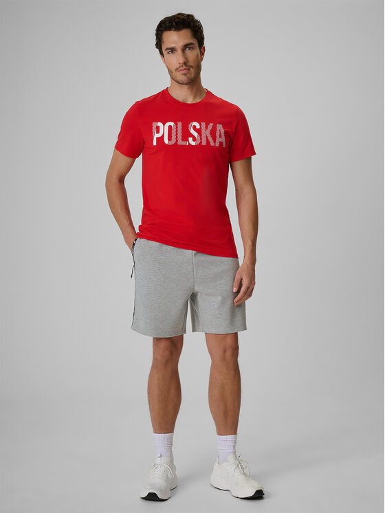 4F 4F Szorty sportowe STREFA KIBICA Szary jasny Regular Fit