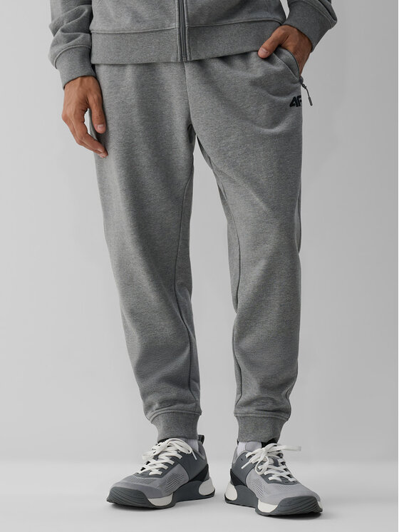 4F 4F Spodnie dresowe BASIC+ Szary Regular Fit
