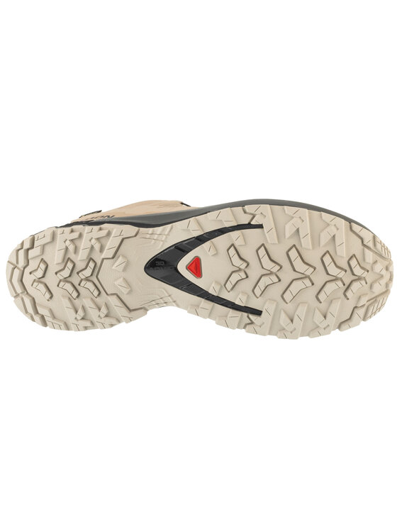 Salomon Salomon Buty do biegania XA Pro 3D v9 GTX Szary