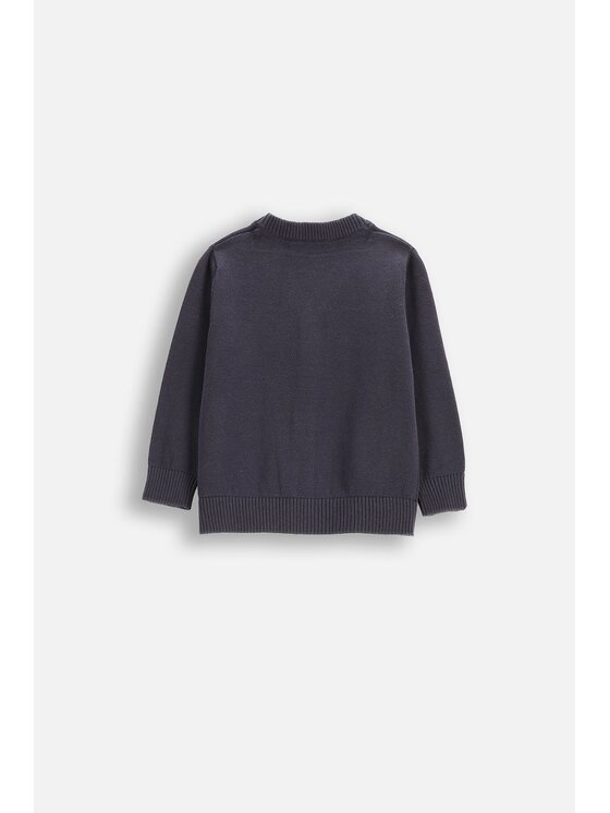 Coccodrillo Coccodrillo Sweter ZC5172201EBB-015 Granatowy Regular Fit