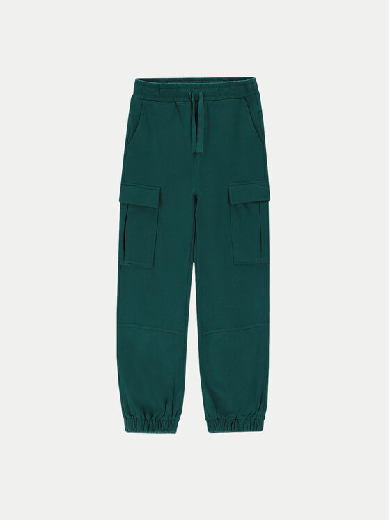 Coccodrillo Pantaloni trening ZC4120101SGJ Verde Regular Fit