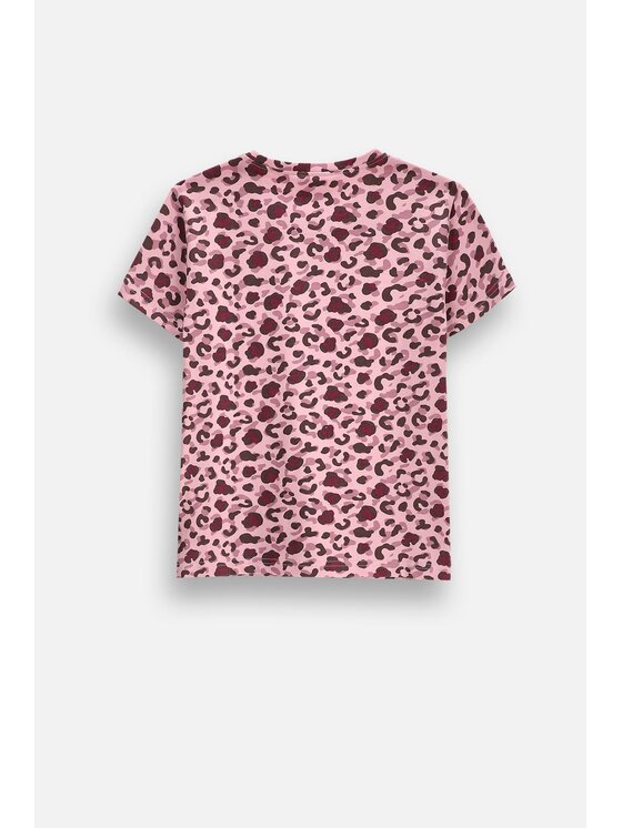 Coccodrillo Coccodrillo T-Shirt ZC6143209VGA-022 Kolorowy Regular Fit