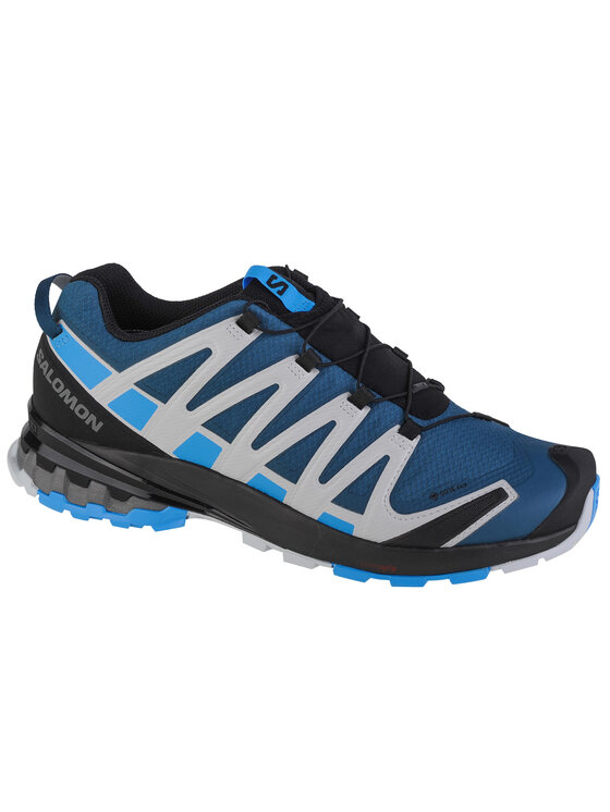 Buty do biegania Salomon, Rozmiar 44, Niebieskie, Salomon XA Pro 3D v8 GTX