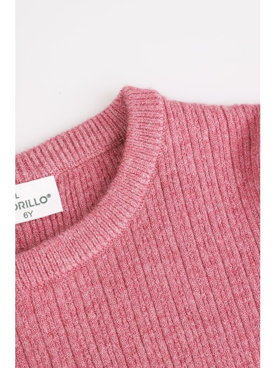 Coccodrillo Coccodrillo Sweter ZC4172102MGK-007 Różowy Regular Fit
