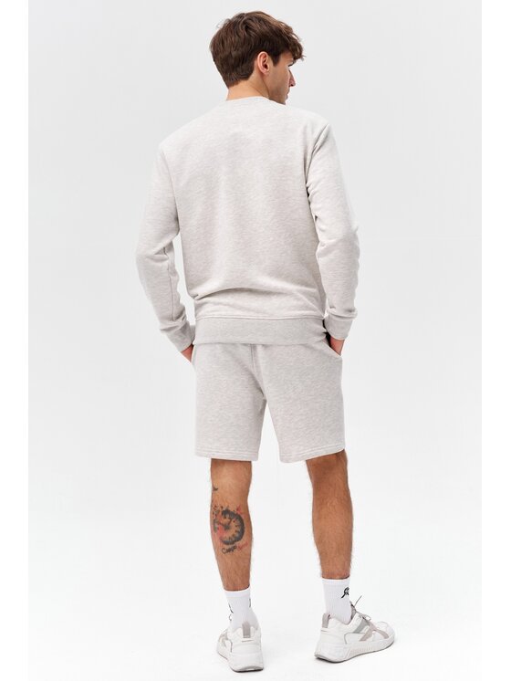 ROUGH RADICAL ROUGH RADICAL Pantaloncini sportivi COTTON ACTIVE SHORTS MEN Grigio Regular Fit