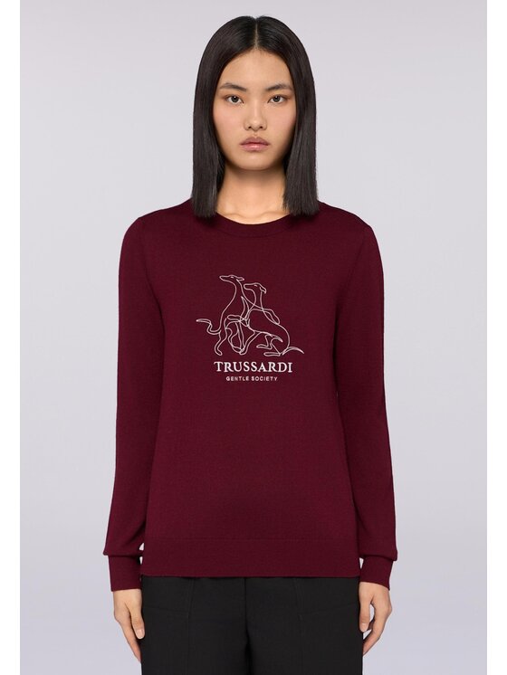 Trussardi Trussardi Maglione M0126001158N036 Marrone Regular Fit