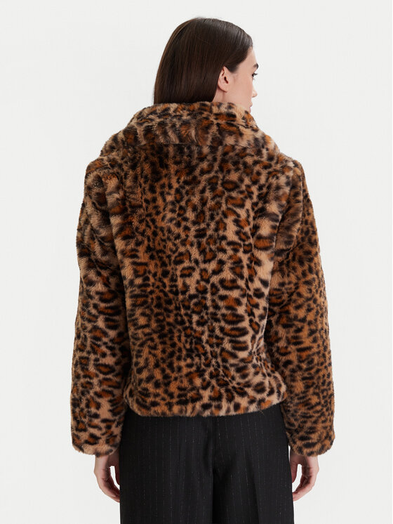 Morgan Morgan Karusnahk 252-GDEO Pruun Regular Fit