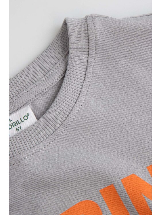 Coccodrillo Coccodrillo Longsleeve ZC6143104WBK-019 Szary Regular Fit
