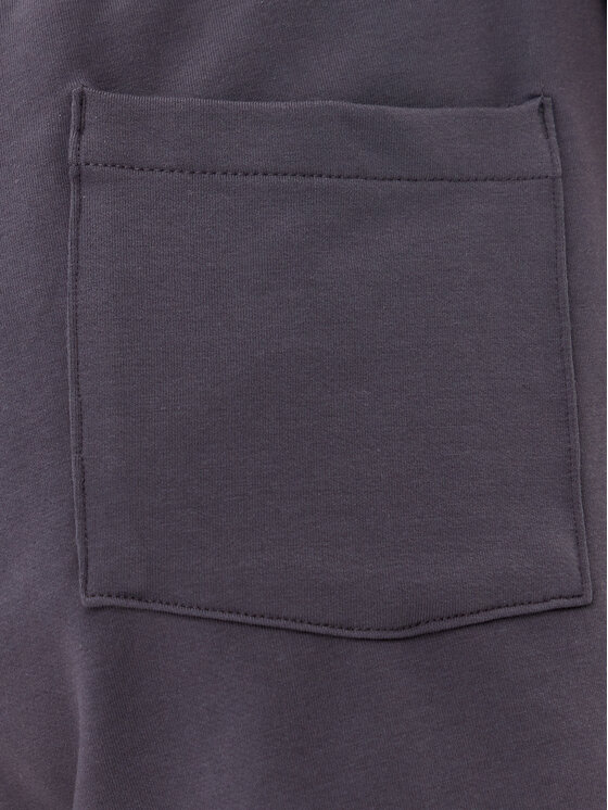 EA7 Emporio Armani EA7 Emporio Armani Pantaloncini sportivi 7W000079 AF13135 U8115 Grigio Regular Fit