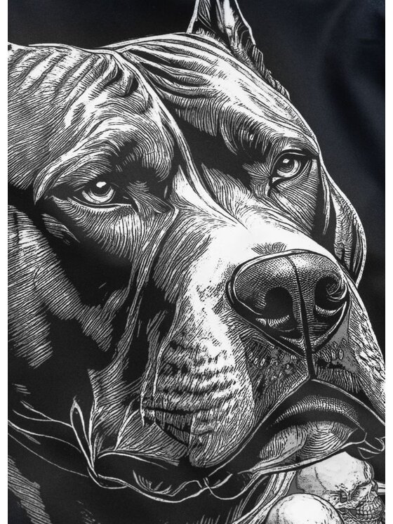 PITBULL PITBULL Szorty sportowe BLACKY Czarny Regular Fit