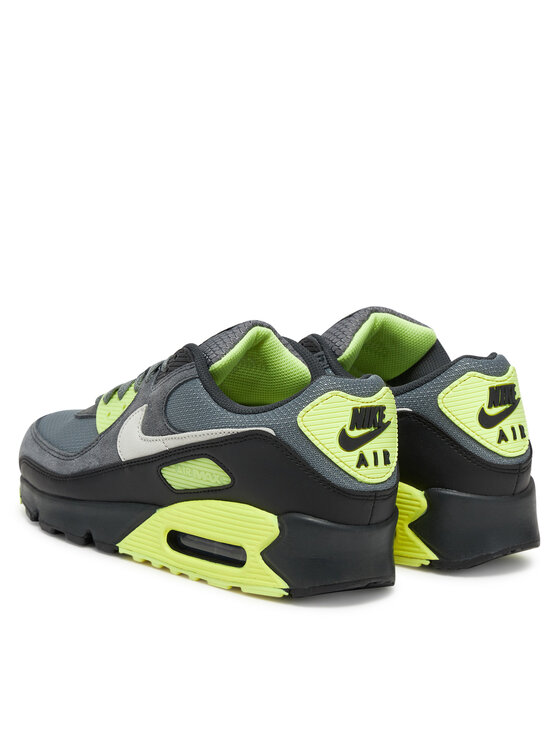 Nike Nike Снікерcи Air Max 90 DM0029 012 Сірий