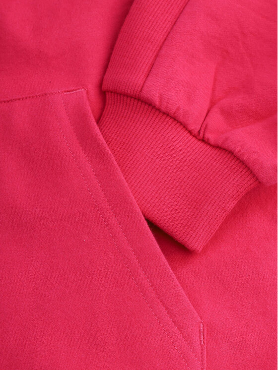Coccodrillo Coccodrillo Felpa ZC4132601VGA Rosa Regular Fit