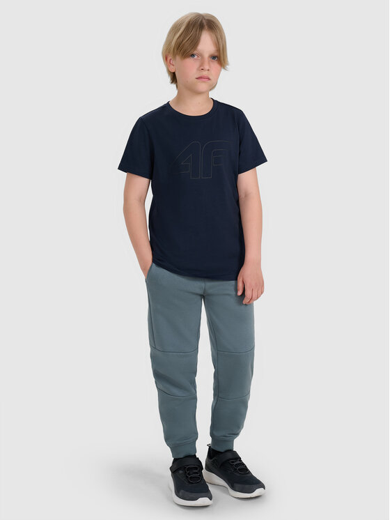 4F 4F T-Shirt BASIC+ Granatowy Regular Fit