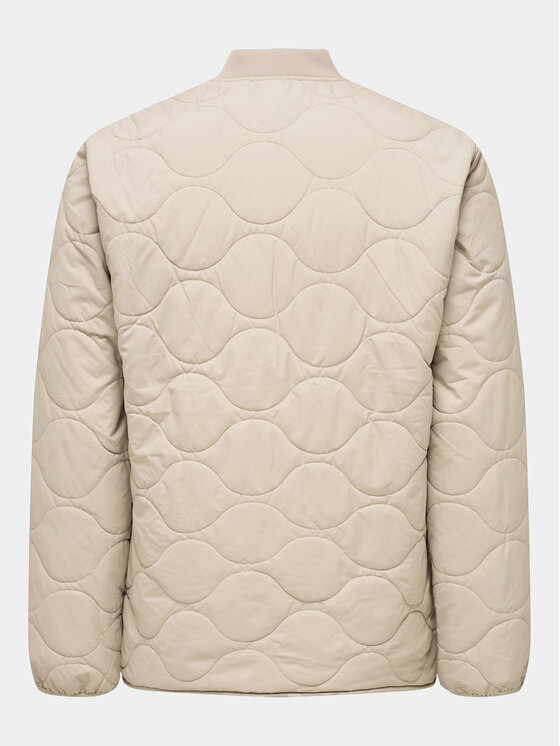 Only & Sons Only & Sons Kevad-sügis jope Art. 22027456 Beež Regular Fit
