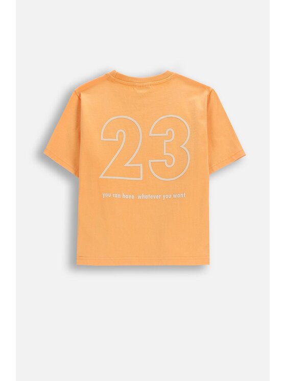 Coccodrillo Coccodrillo T-Shirt WC6143203IBK-006 Oranžová Regular Fit