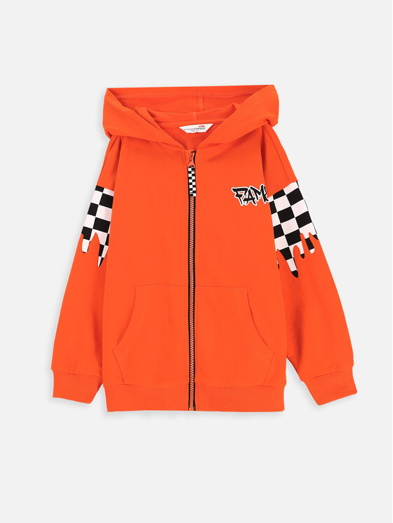 Coccodrillo Coccodrillo Sweatshirt ZC3132402ASK Orange Regular Fit