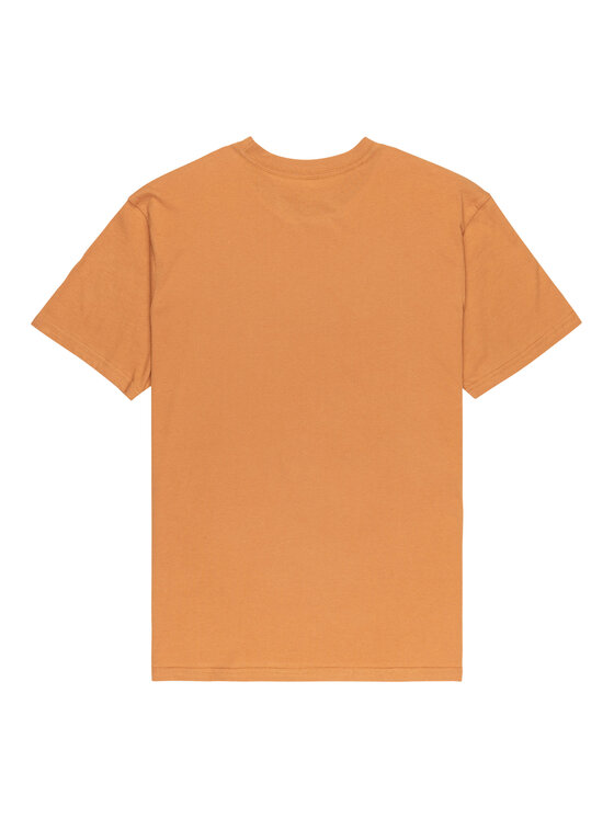 Quiksilver Quiksilver T-särk Ev Comp Logo EQYZT08182 Beež Regular Fit