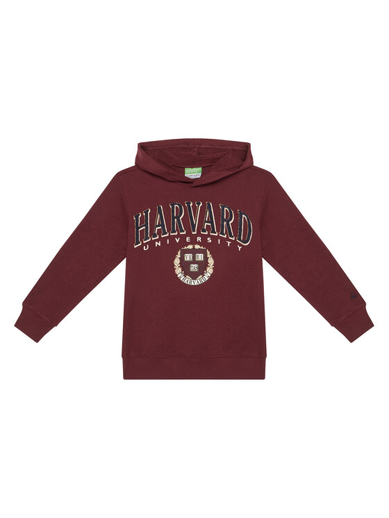 United Colors Of Benetton United Colors Of Benetton Суитшърт 32N4C204U Бордо Regular Fit