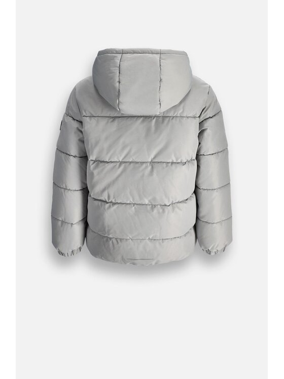 Coccodrillo Coccodrillo Zimné bundy ZC6152105OBJ-019 Sivá Regular Fit