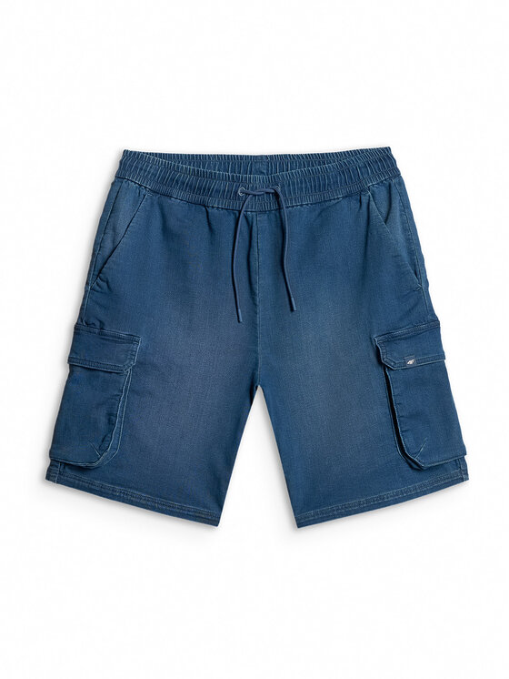 4F 4F Szorty sportowe ESSENTIAL Regular Fit