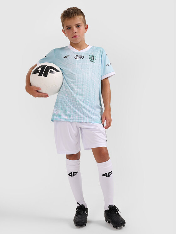 4F 4F Koszulka techniczna TEAMWEAR Kolorowy Regular Fit