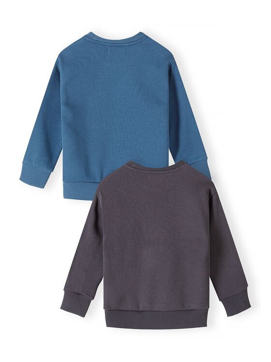 minoti minoti Bluza 33FLEECE200 Kolorowy Regular Fit