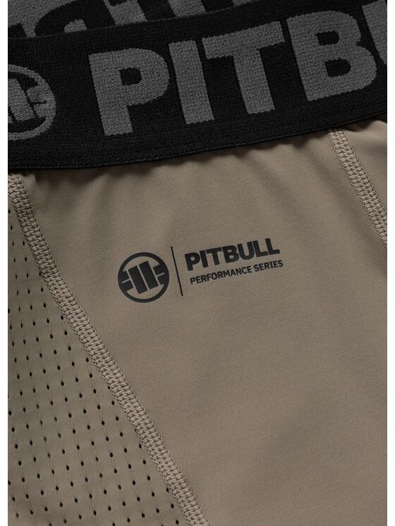 PITBULL PITBULL Szorty sportowe RUNWAY Brązowy Regular Fit