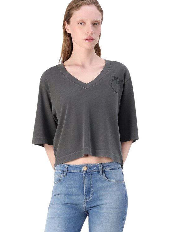 PINKO PINKO T-shirt Suez t-shirt jersey con banda Grigio Large Fit
