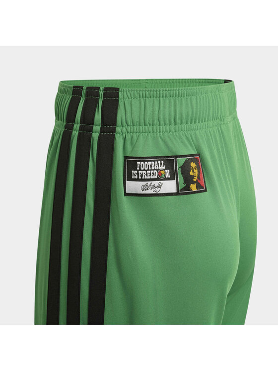 adidas adidas Szorty sportowe 165021 Zielony Regular Fit