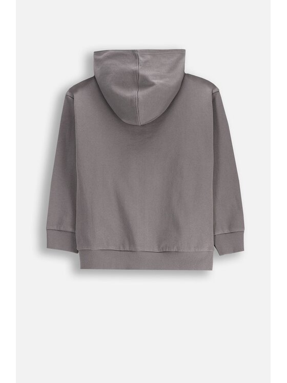 Coccodrillo Coccodrillo Bluza WC5132401VBB-020 Szary Regular Fit