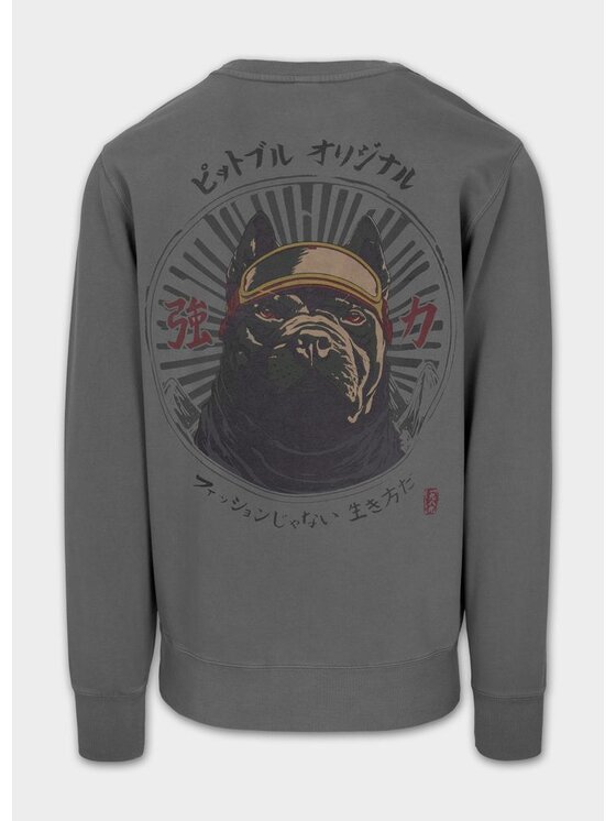 PITBULL PITBULL Bluza Washed MT FUJI Szary Regular Fit