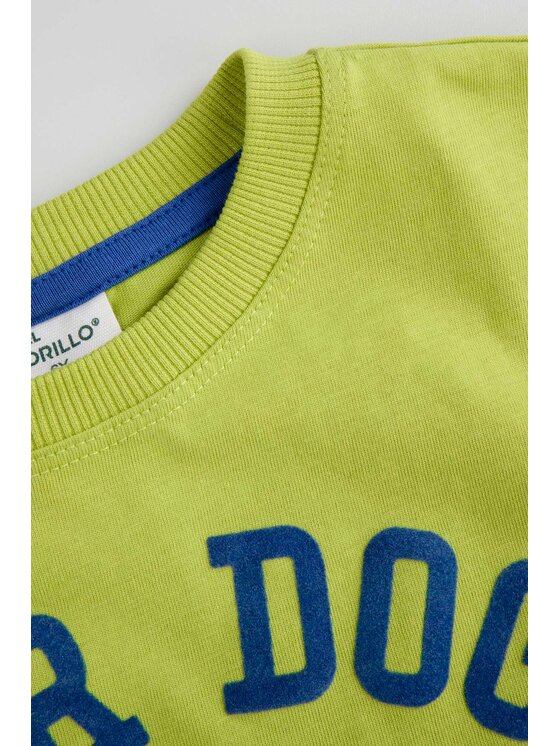 Coccodrillo Coccodrillo T-Shirt ZC5143103ABK-012 Zielony Regular Fit